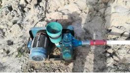 虾稻混养最佳方案,虾混养成功案例