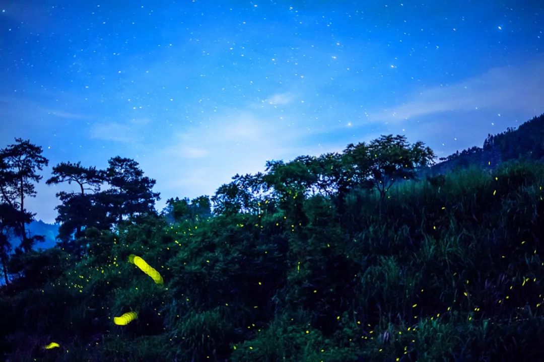 端午不加价水上别墅,端午不加价别墅惠州