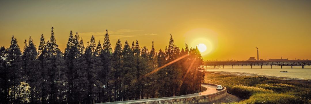 未来五年江阴这里真的会大变样吗,新动作新气象