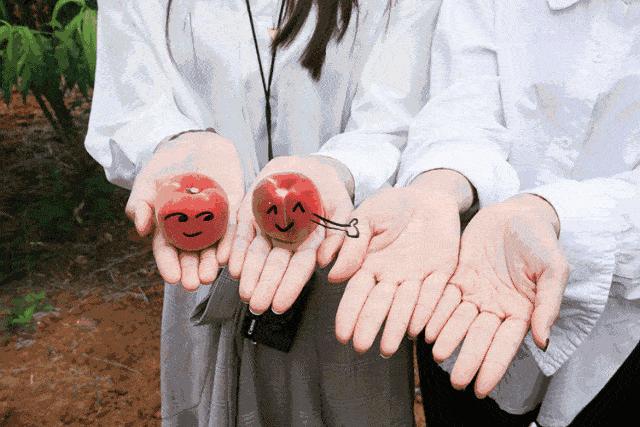 小苏打食用碱和泡打粉有什么区别,小苏打食用碱酵母哪个发面好