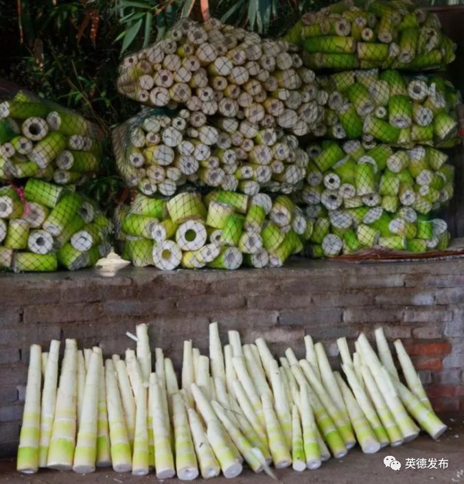 英德特产招牌,喜讯新兴一镇入选全国榜单