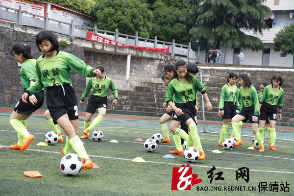 保靖学校,保靖武校