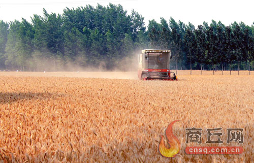 保粮食能源安全筑牢发展安全线