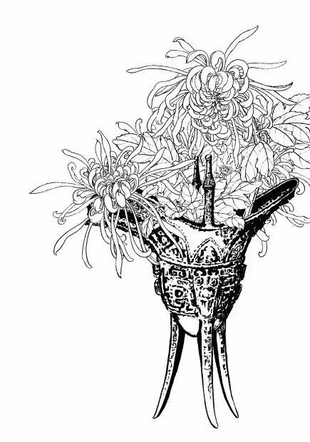 白描菊花国画如何上色,国画白描菊花图片大全