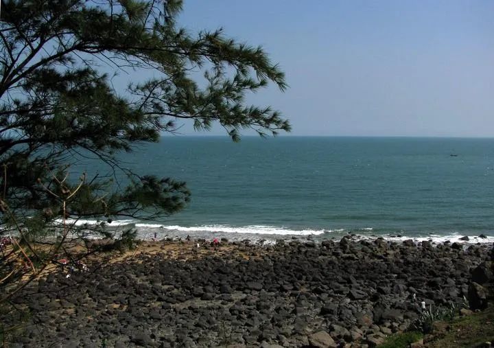 一半是火焰一半是海水啥意思,一半是火焰一半是海水全文