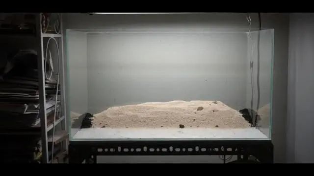 新手鱼缸开缸养水教程,新手海水缸开缸准备材料清单