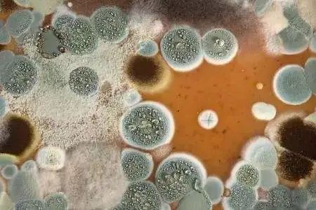 杭州今日入梅，梅雨季节居家除霉妙招请收好