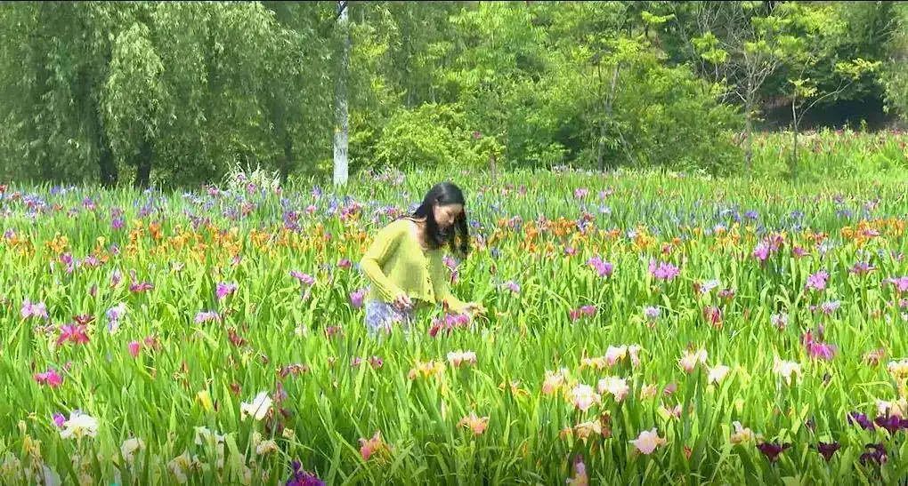 余杭景点打卡攻略旅游线路,余杭城西一日游攻略
