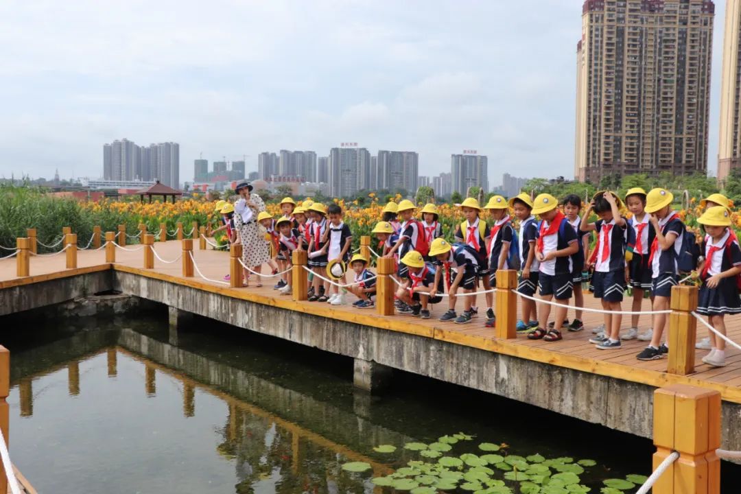 南宁市民主路小学教学理念,南宁市十大好小学