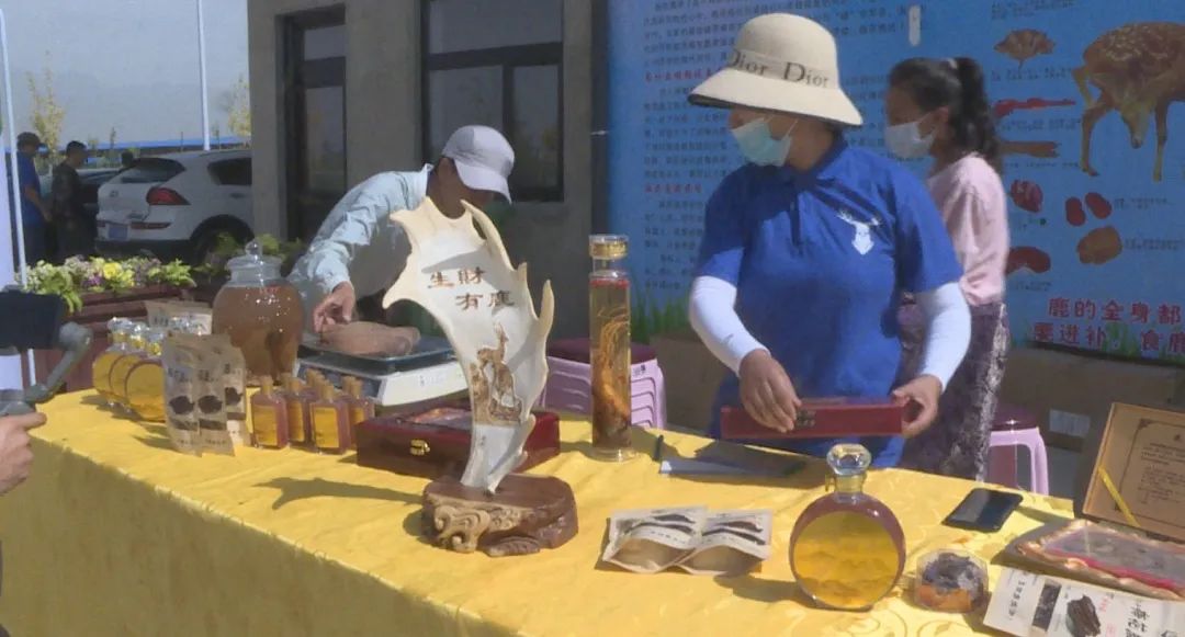 不走寻常路致富项目,致富不走寻常路