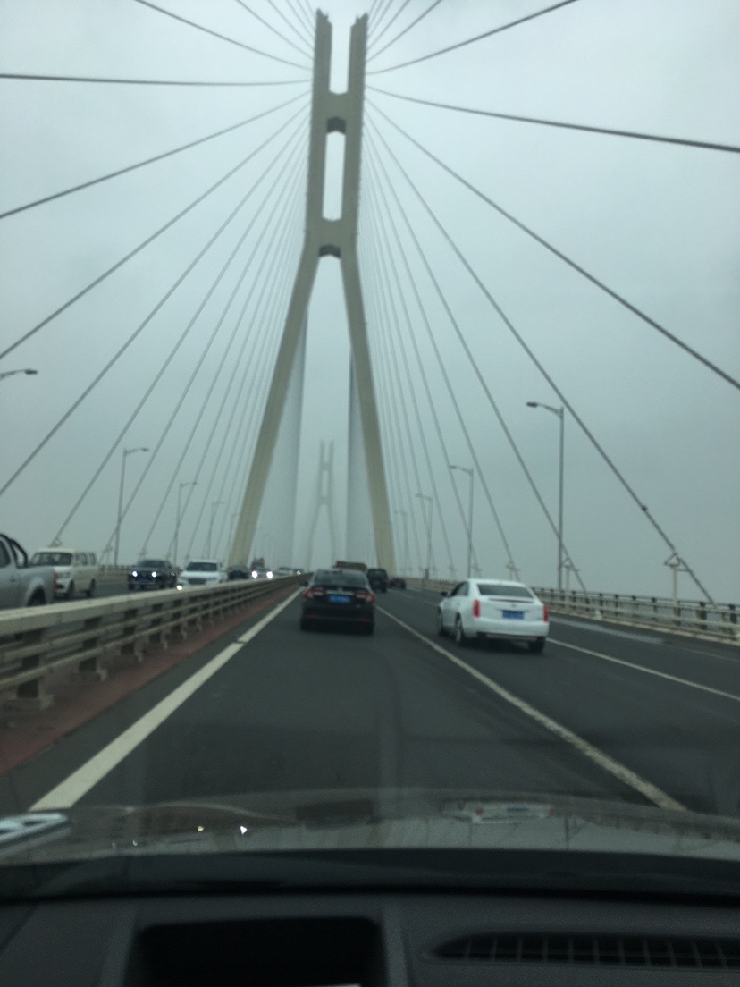 水库地形不好怎么甩大鞭,水库甩大鞭钓鱼