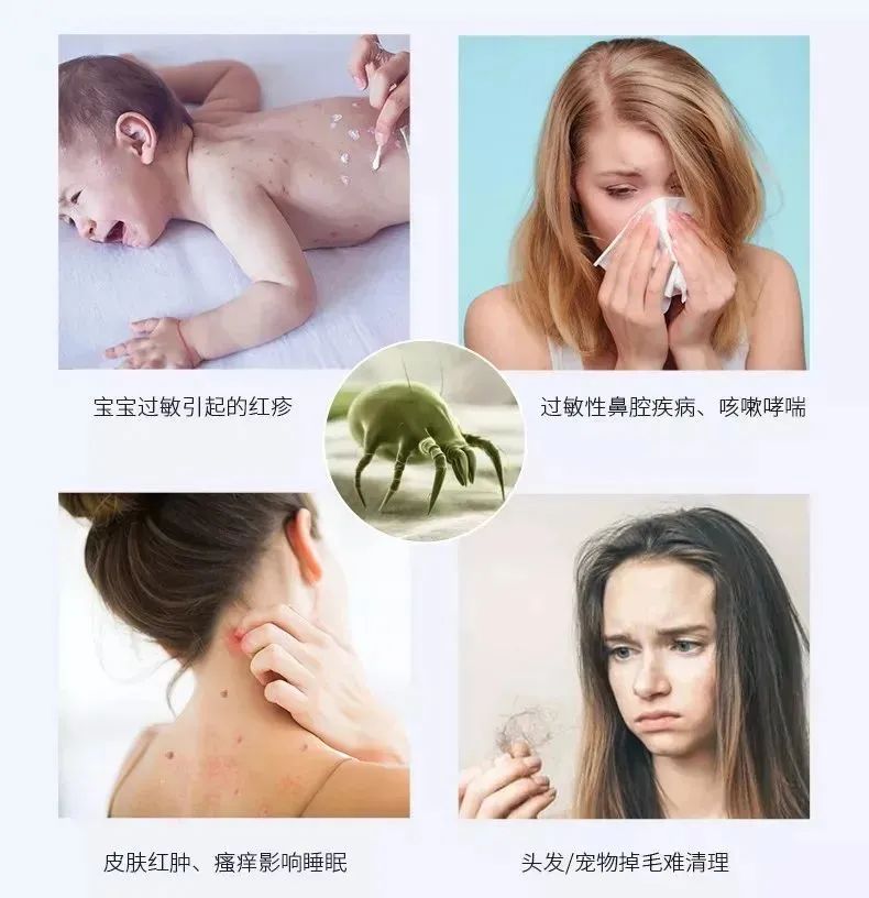 蚕丝被曝光事件,蚕丝被真相图片