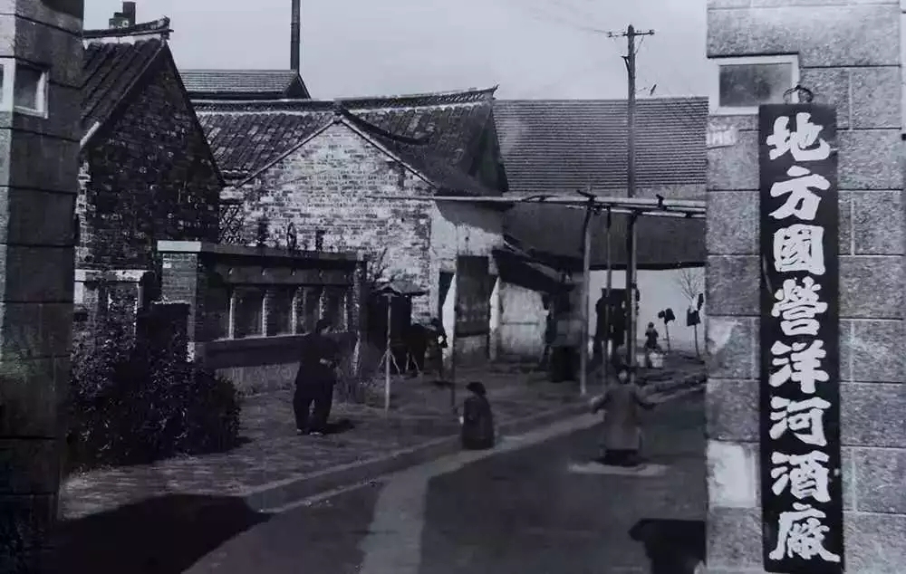 洋河的发展历史,名酒之乡洋河