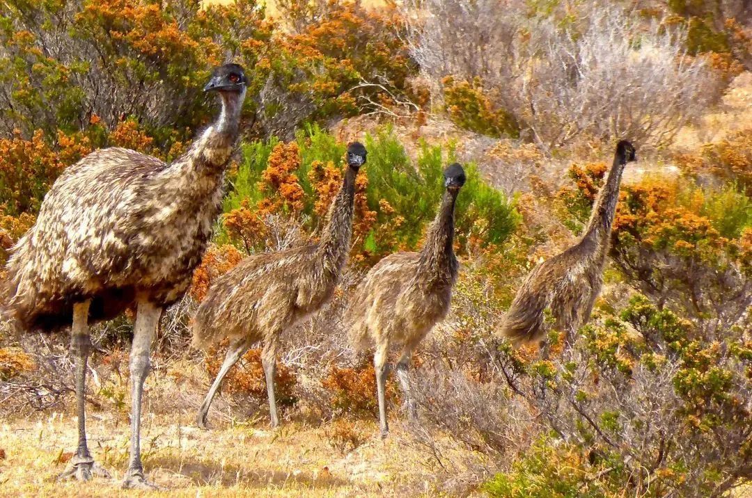 脚臭脱鞋多久可以去味,脱鞋臭脚怎么快速除臭