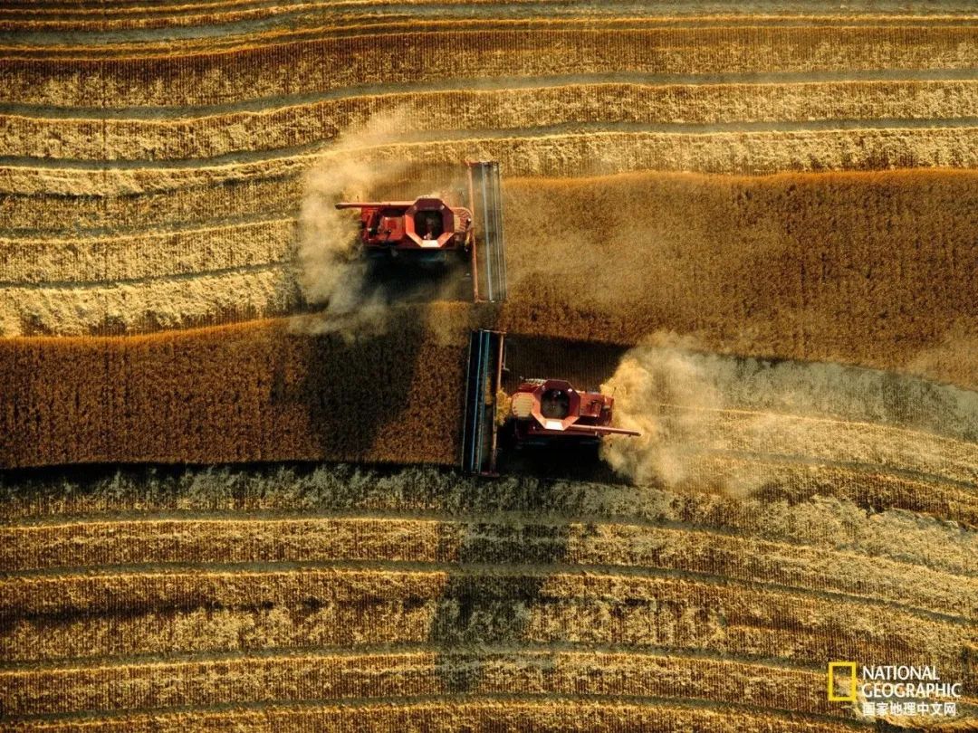 芒种至仲夏始人生丰收时,芒种至仲夏始介绍