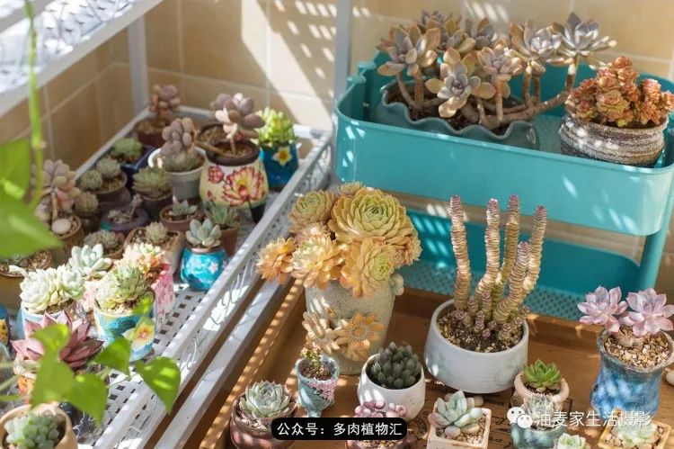 专注于自己喜欢的事情,专注于自己喜爱的事情