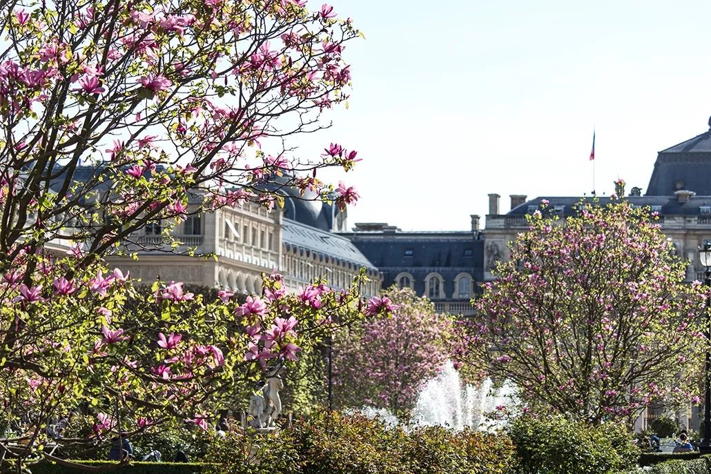 塞纳河畔旧书摊,塞纳河畔旧书摊的故事