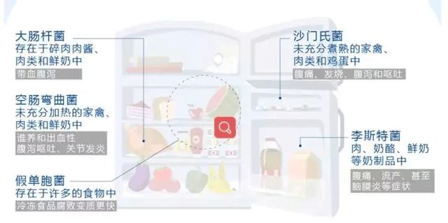冰箱如何除菌除味,冰箱除菌就能防串味吗