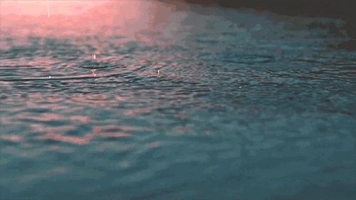 官宣的新消息,官宣时间确定了吗