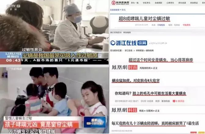 法国Lérane草本净螨贴，萃取天然植物，除螨更安心