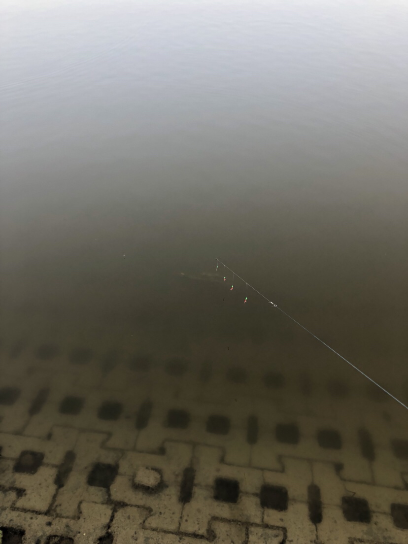 新路亚鱼竿到手要干嘛,新路亚竿子到手硬吗