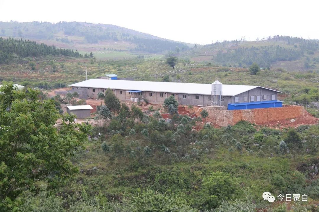 小苹果到底有多厉害,蒙自市苹果小镇