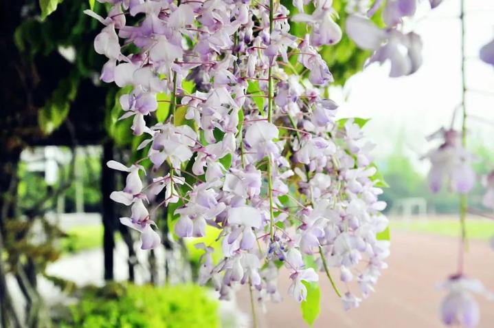 高二考上了中国科技大学,高二就考上中科大