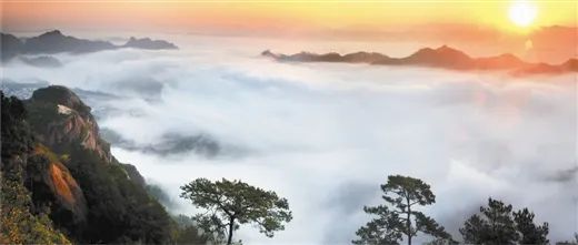 来梧州，体验岭南文化，吃遍大街小巷|“广西人游广西”精品自驾游路线