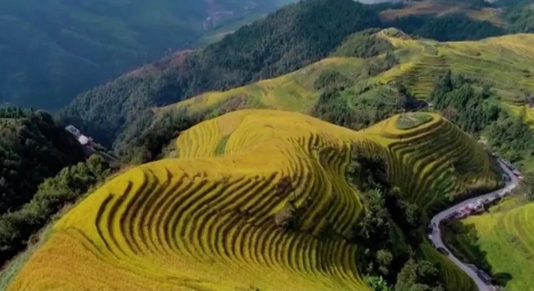 什么是广西科目三舞蹈,什么是广西科目三