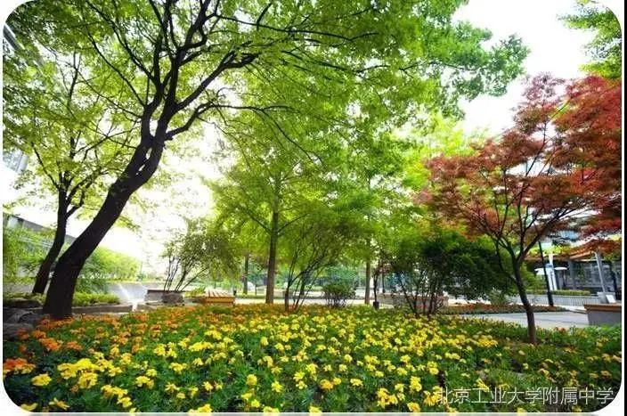 北京工业大学附属中学首城校区,北京工业大学附属中学本科