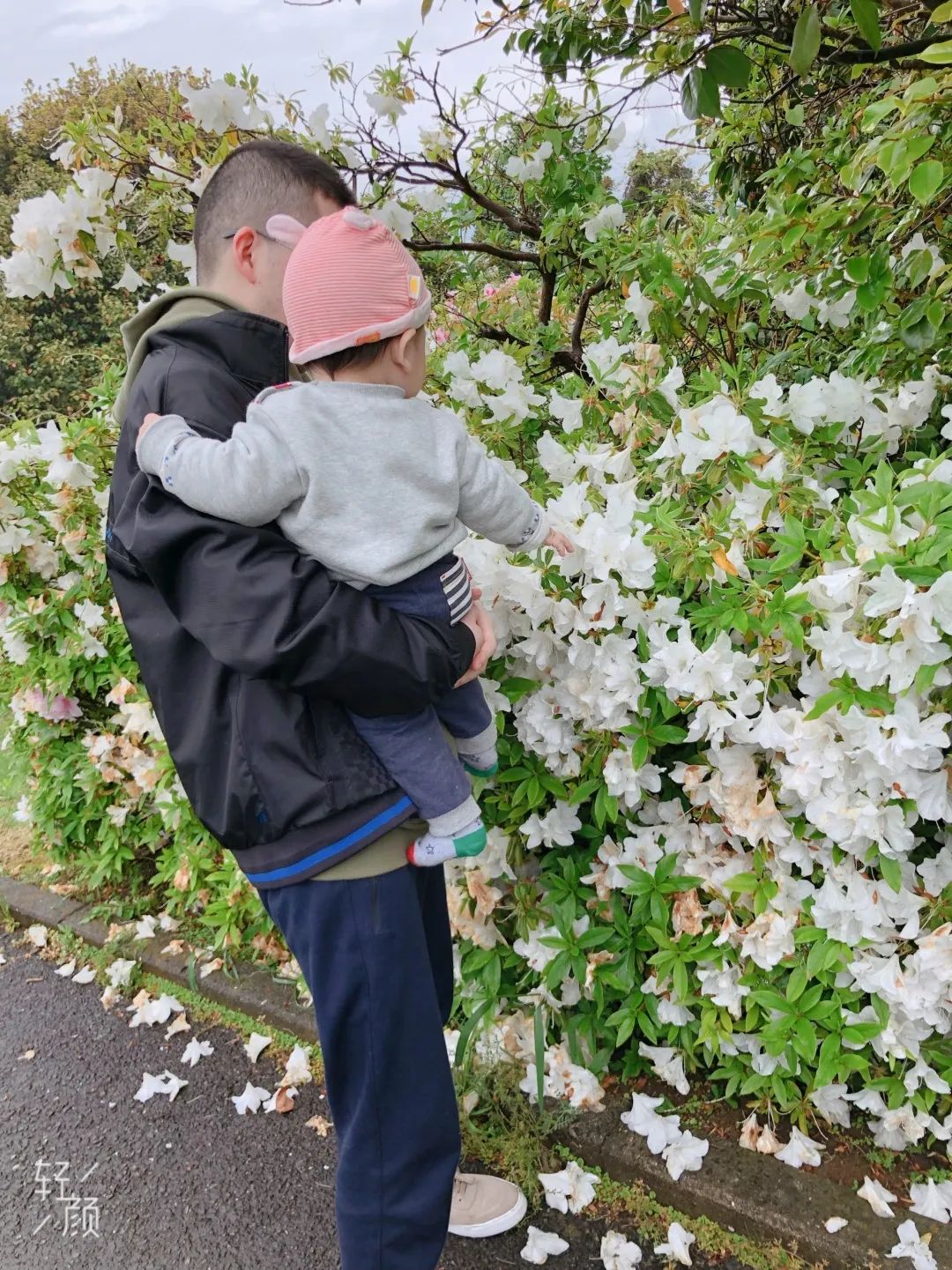 四川耙耳朵的爸爸,成都耙耳朵爸爸