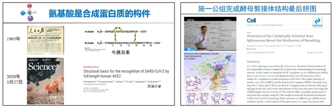 课程思政之中国式现代化,课程思政育人理念融入英语教学