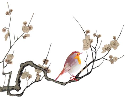 文化和自然遗产日|国医大师，邹氏肾科医术非遗传承人邹燕勤教授抗疫纪实