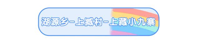 周末去哪儿⑫|王牌推荐，出行不愁！富阳山乡鲜得太“上头”啦！