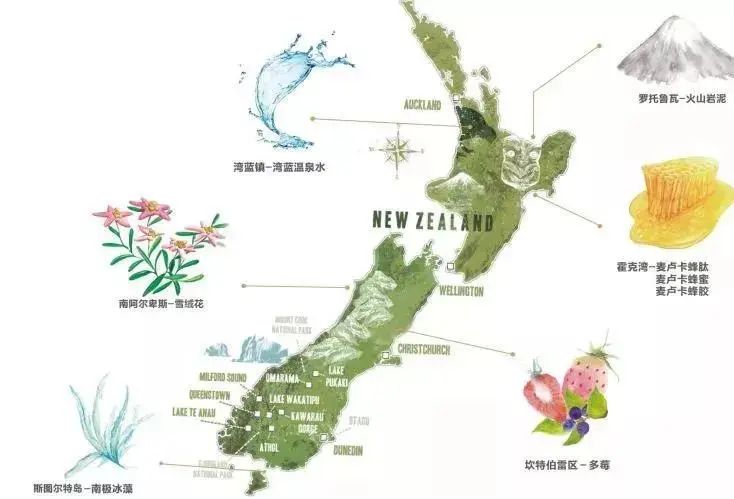 pony娴嬭瘯鐜涗附榛涗匠,pony鍖栧ザ娌瑰