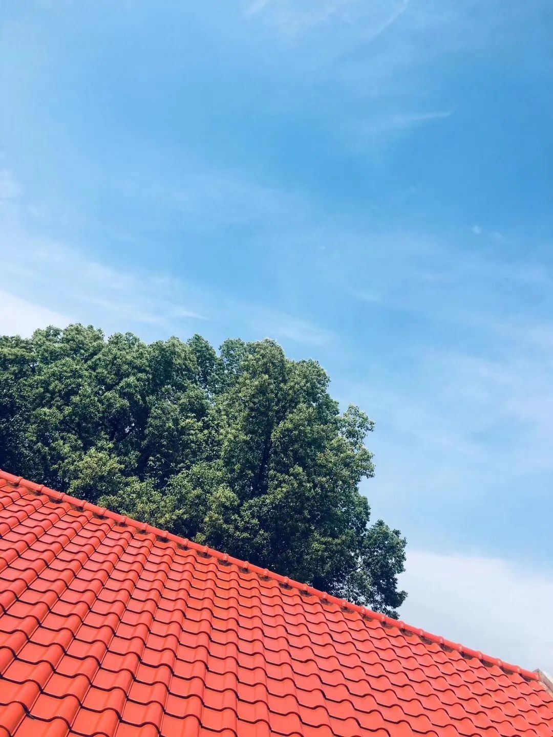 刷屏了！这样的开福蓝，请给我来一打