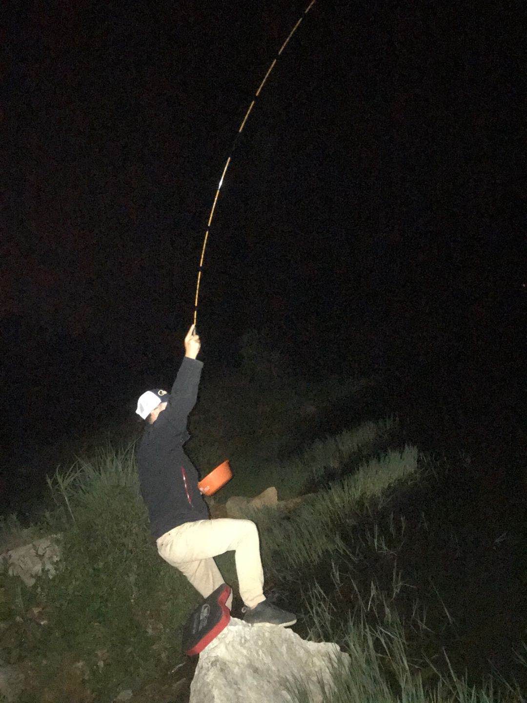 多日未冒泡,竟然掉了一个粉丝,打击来的突然