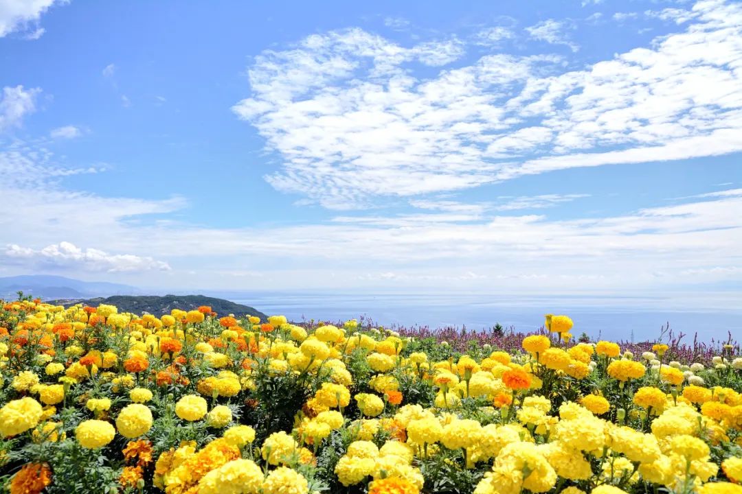 日本最不发达的地区,日本最落后的十个县