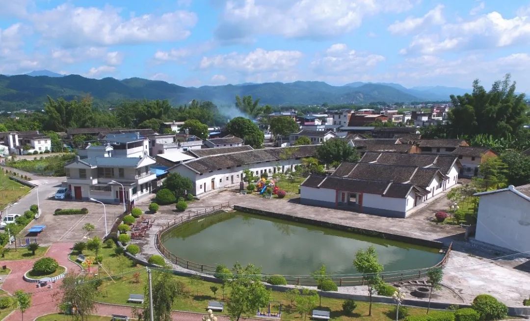 长寿村的秘密原视频,世界长寿乡梅州市蕉岭县