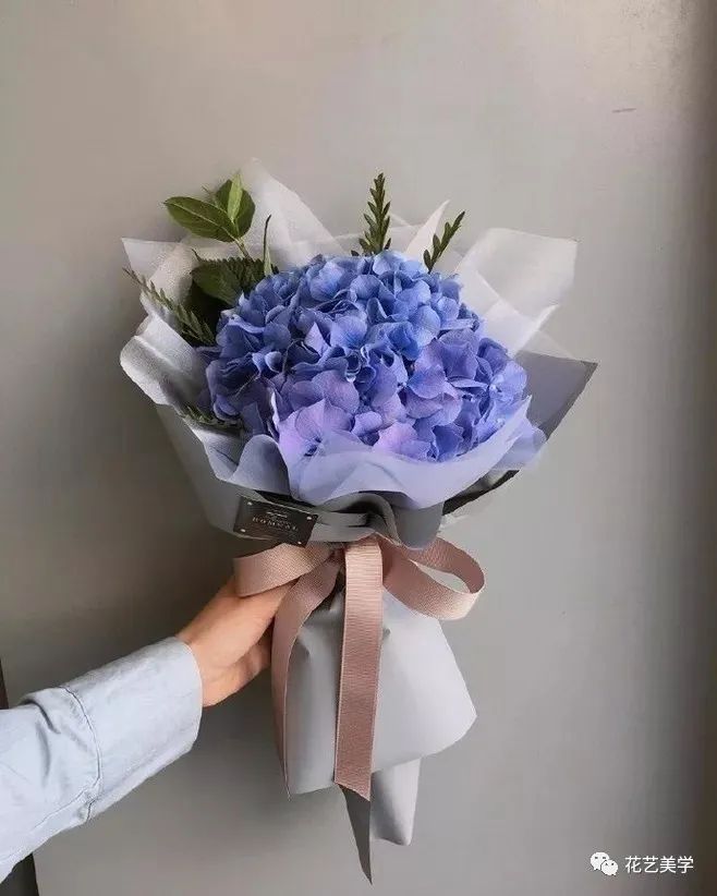 节日丨父亲节，除了向日葵还能送啥花