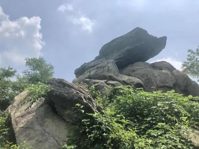 庐州石头传奇:“石公、石婆、石小姐”、“棋盘石”、“霸王石”……