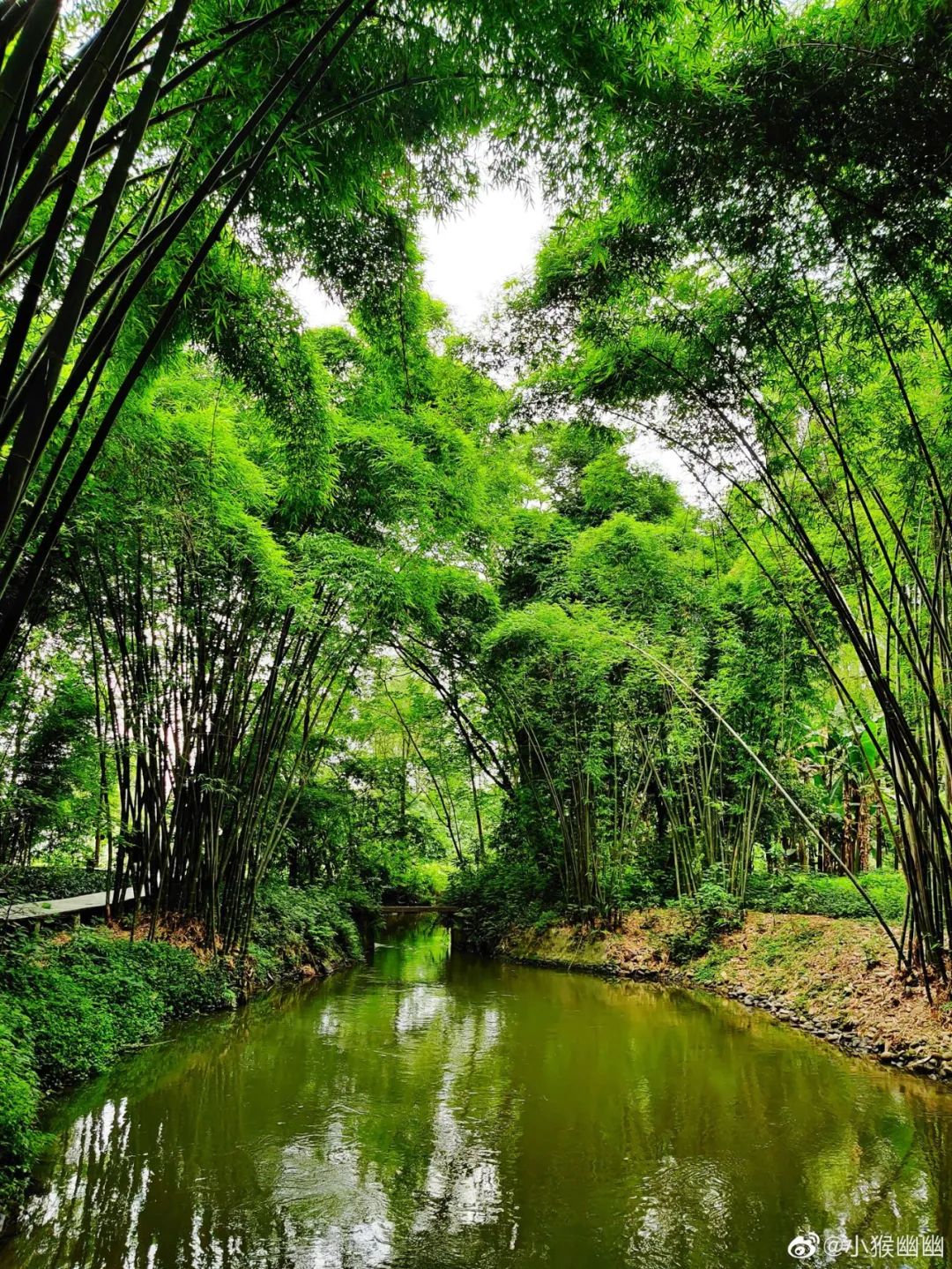 火了火了！成都又新添一个区，地铁10号线直达！夏日纳凉、吃河鲜…3日郊游路线，安排→