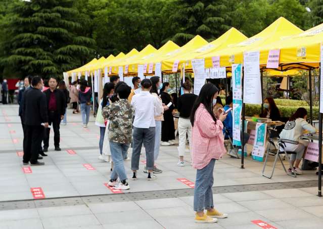 财大就业前景如何,天津财大就业率怎样