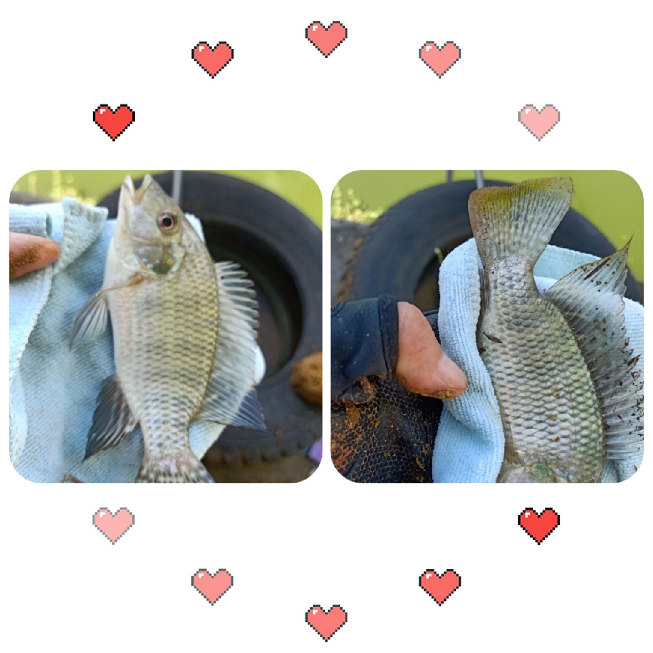 开局即是巅峰第6集,开局即巅峰完整版