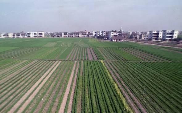 关注浙江“最年轻”街道杭州萧山盈丰为何新设？