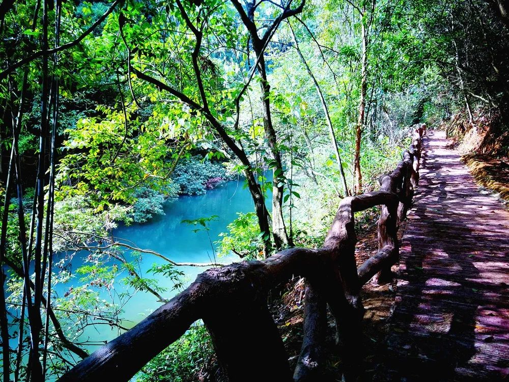 南宁附近最适合游泳避暑的地方,南宁夏天有哪些避暑的地方