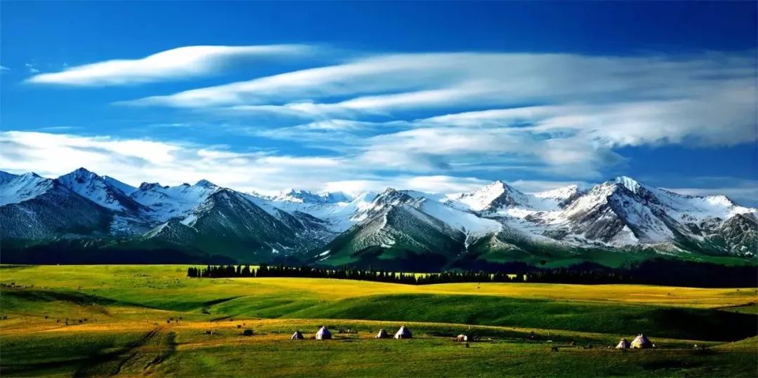 新疆伊犁昭苏油菜花几月开,大美新疆昭苏特克斯油菜花