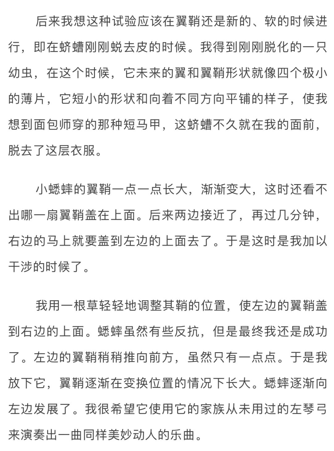 法布尔昆虫记意大利蟋蟀读后感悟,法布尔昆虫记蟋蟀篇