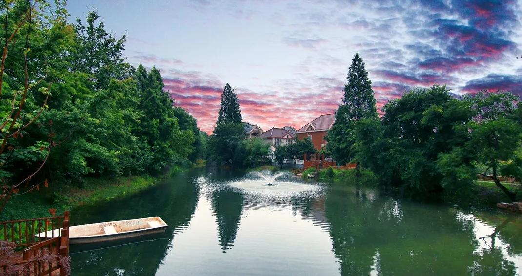 上海宝山：找准产业定位，寻求差异化发展，都市乡村振兴之路越走越宽