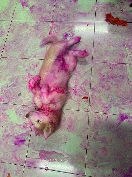 人喝醉之后到底有多搞笑,盘点喝醉的人有多搞笑